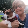 laurabricininni @laurabricininni profile image