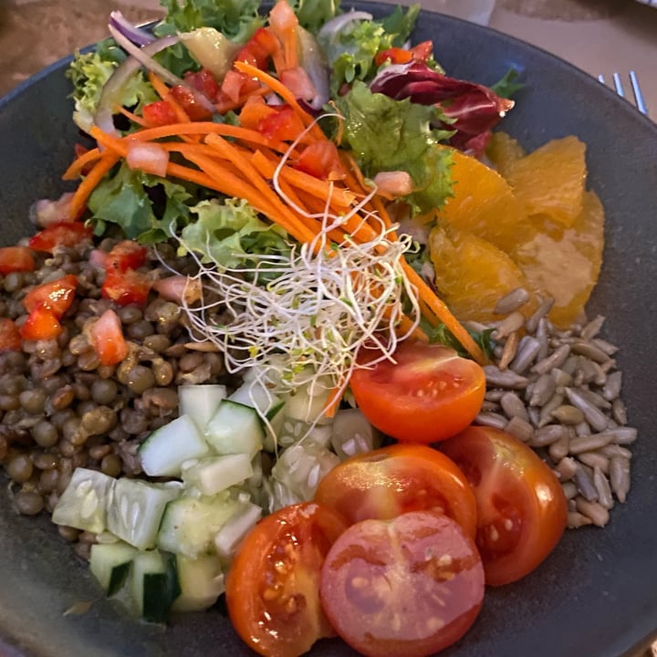 photo of Temple Natura Cafè lentils bowl shared by @beaandveganfood on  02 Sep 2022 - review