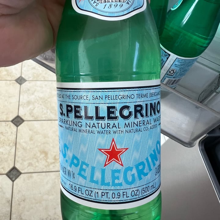 photo of S.Pellegrino Sparkling water shared by @allycat38 on  28 Aug 2022 - review