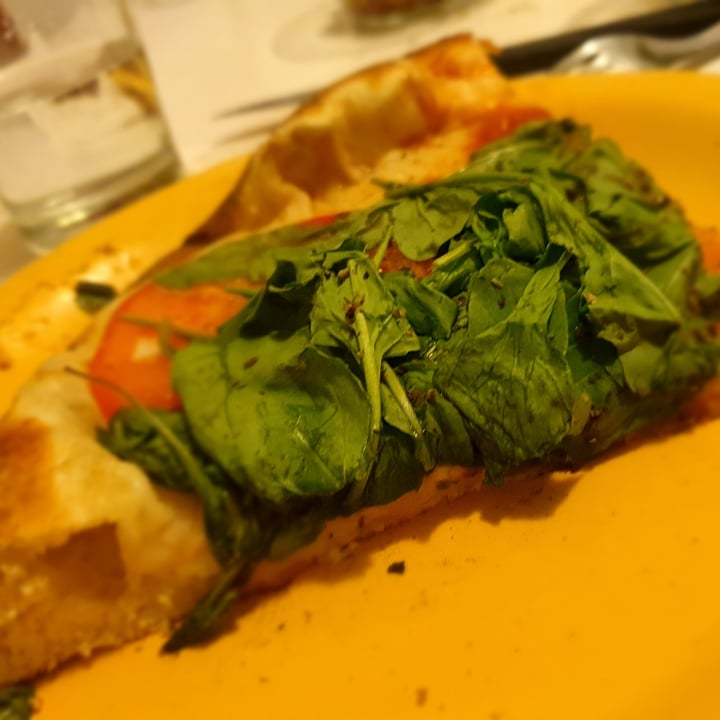 photo of Pasillo 74 PIZZERÍA Pizza De Rucula shared by @pauli-arce on  13 Sep 2020 - review