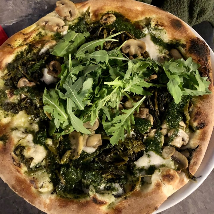 photo of Chicago Trattoria Vegan Pizza Bianca shared by @jetteschuetze on  11 Sep 2021 - review