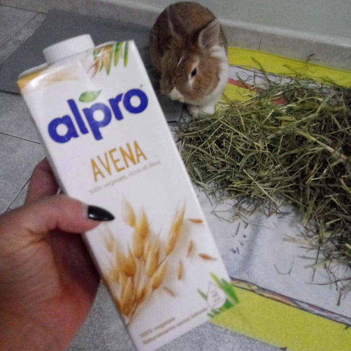 review photo of Alpro Alpro avena shared by @streghettavegana on 08 May 2021 - review