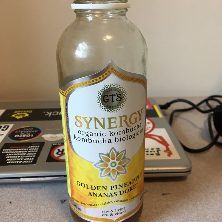 photo of GT’s Living Foods Golden Pineapple Kombucha shared by @allisonwalters on  10 Jan 2021 - review