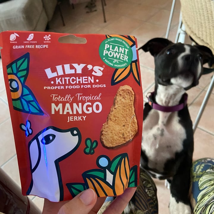 photo of Lily's Kitchen Mango Jerky shared by @danigogreen on  16 Jun 2022 - review
