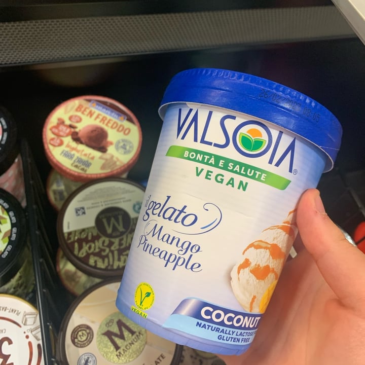 photo of Valsoia Gelato Mango Pineapple shared by @elydrk on  18 Jan 2022 - review