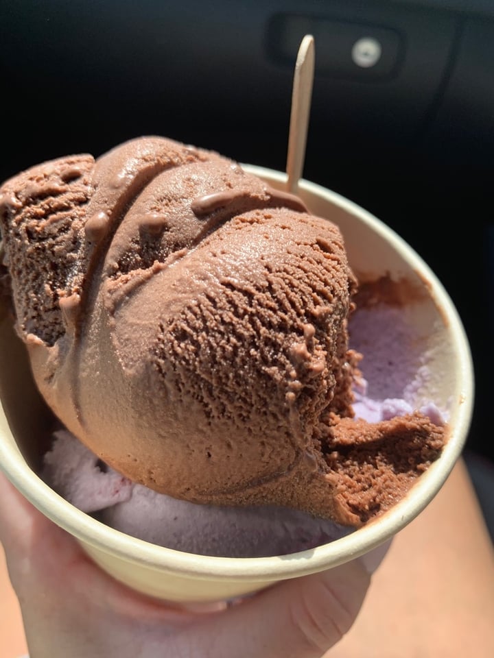 photo of Kristen's Kick-Ass Ice Cream - Noordhoek Farm Village Blueberry Vegan Ice Cream shared by @simonesmouton on  15 Mar 2020 - review
