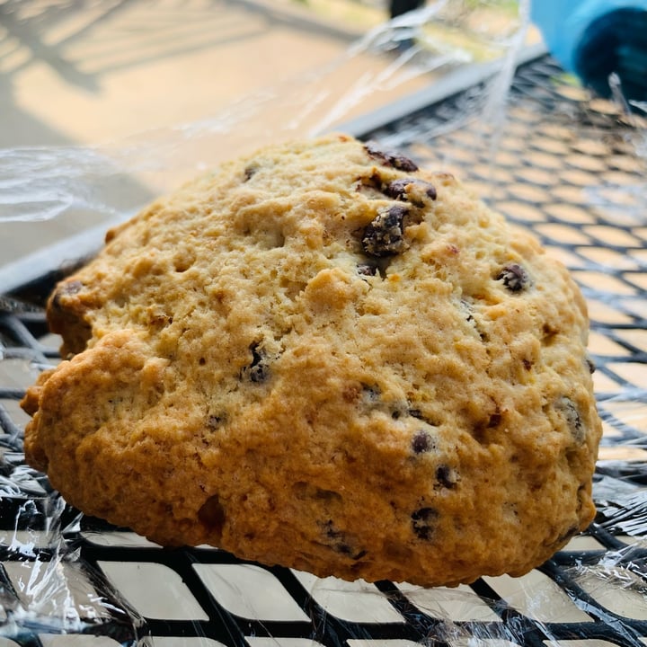photo of Soma Coffee House & Juice Bar Orange Chocolate Chip Scone shared by @allhess on  11 May 2022 - review