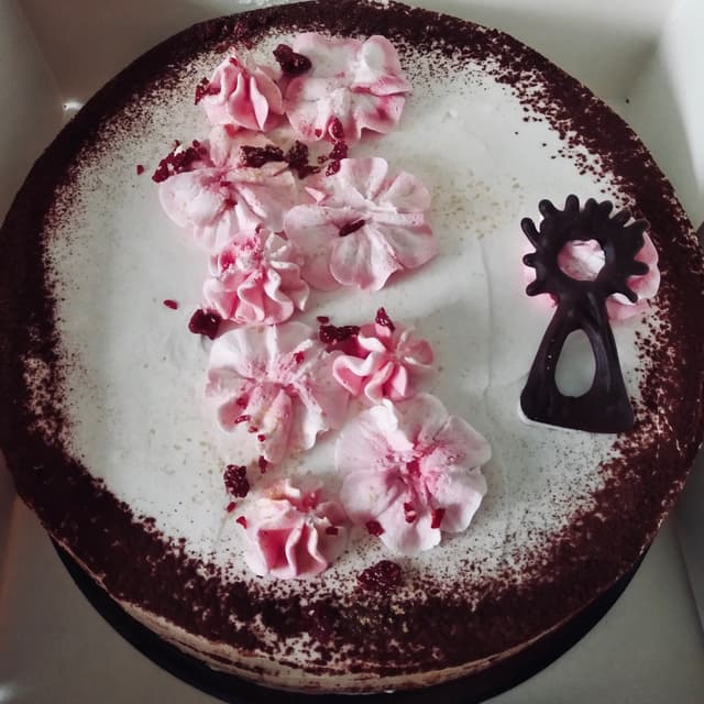 Foto del piatto “Tarta vegana del Pilar”