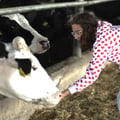 meirageyser @meirageyser profile image