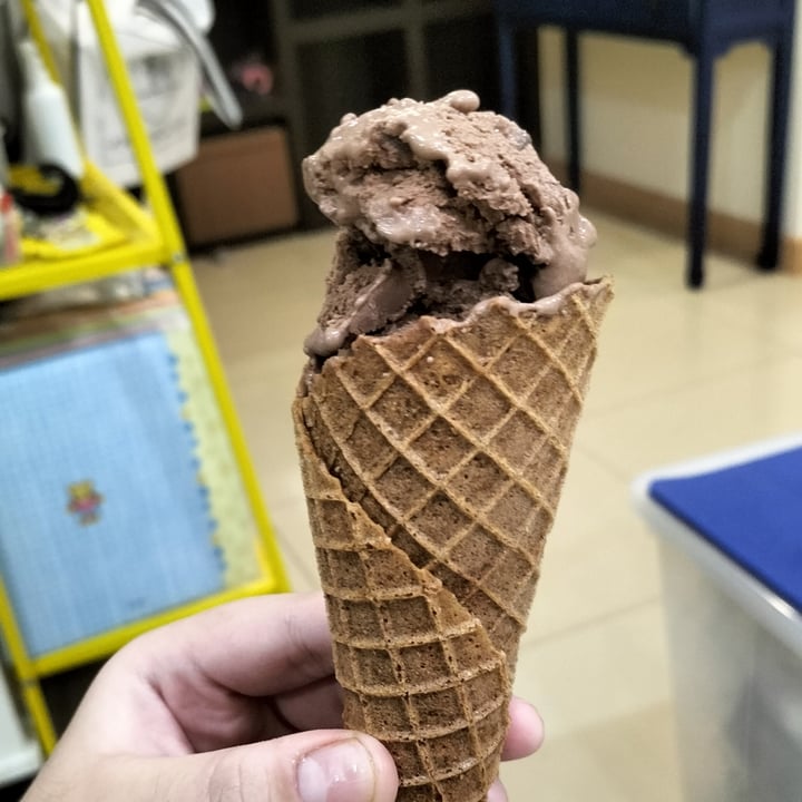 photo of Kind Kones Salted Chocolate Chip Ice Cream shared by @veganhubby on  21 Mar 2022 - review