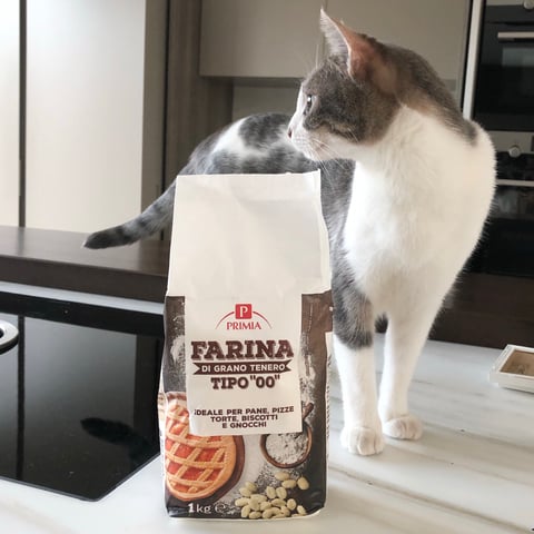 PRIMIA Farina Integrale di Grano Tenero 1 KG Ideale per pane e prodotti da  forno dolci e salati. - Basko