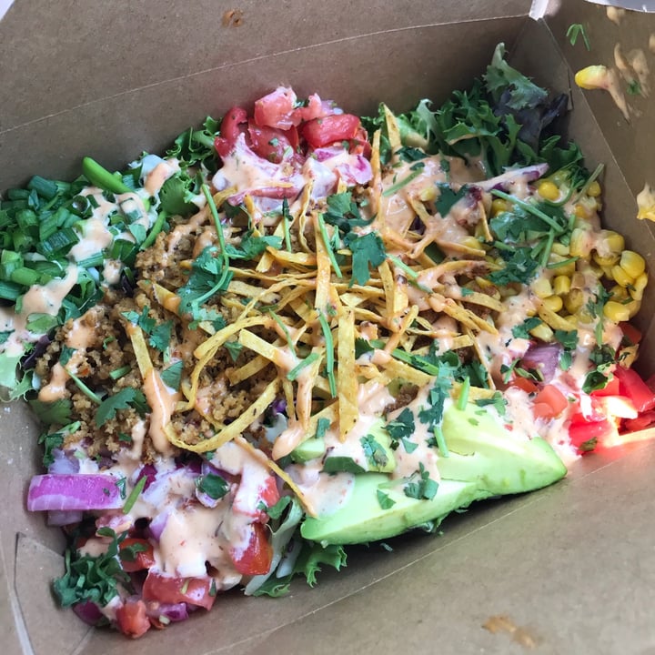 photo of Native Foods Cafe Taco Salad shared by @mallory17 on  13 Jul 2020 - review