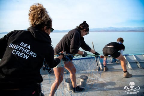 Join us in removing ghost nets from the oceans with Sea Shepherd