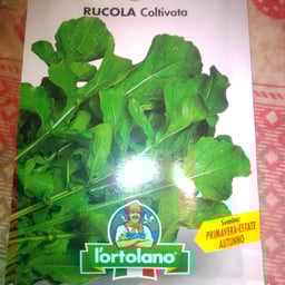 l'ortolano sementi