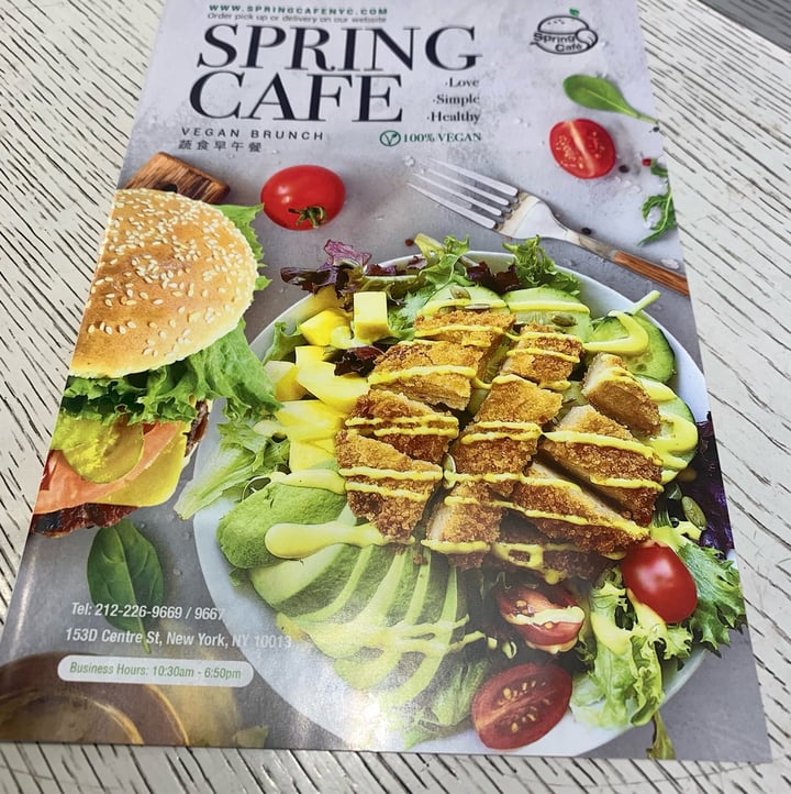 review photo of Spring Cafe Vegan “Chicken” Salad shared by @adrienneb on 13 Jun 2022 - review