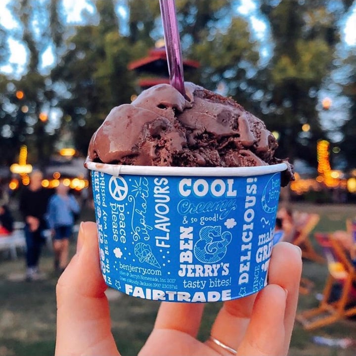 photo of Ben & Jerry's Chocolate Fudge Brownie Non-Dairy Ice Cream shared by @ifveganism on  14 May 2020 - review