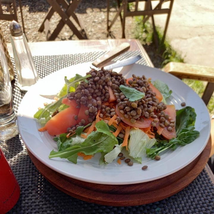 photo of LA DESTILERÍA FOOD & BAR Ensalada Con Lentejas, Lechuga, Tomate, Rucula Y Zanahorias shared by @vickyjolie on  19 Oct 2021 - review