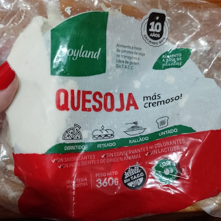 photo of SoyLand Queso de soja/quesoja shared by @soynayme on  03 Oct 2022 - review
