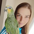 anne13 @anne13 profile image