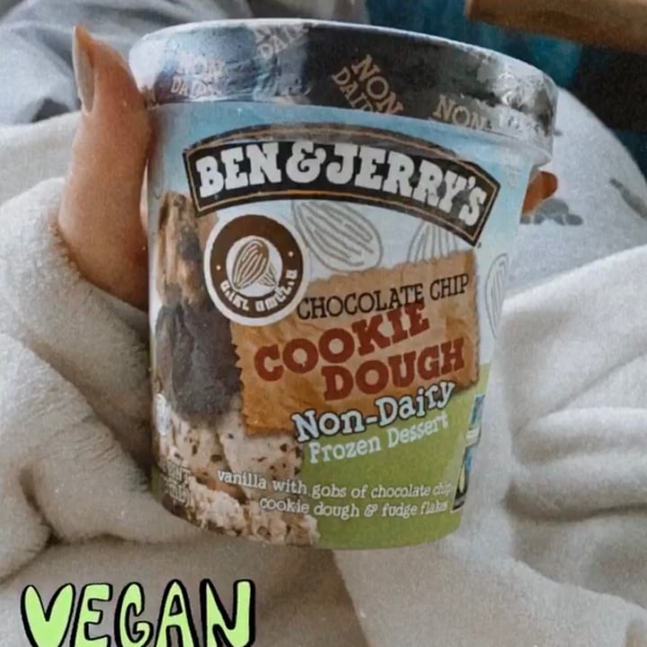 photo of Ben & Jerry's Chocolate Chip Cookie Dough Non-Dairy Frozen Dessert shared by @valeriaait on  02 Aug 2020 - review