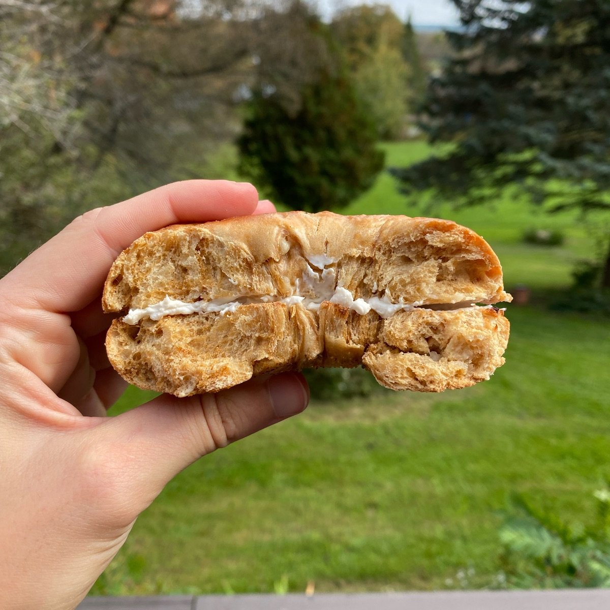 Cazenovia Bagel Co. French Toast Bagel Reviews abillion