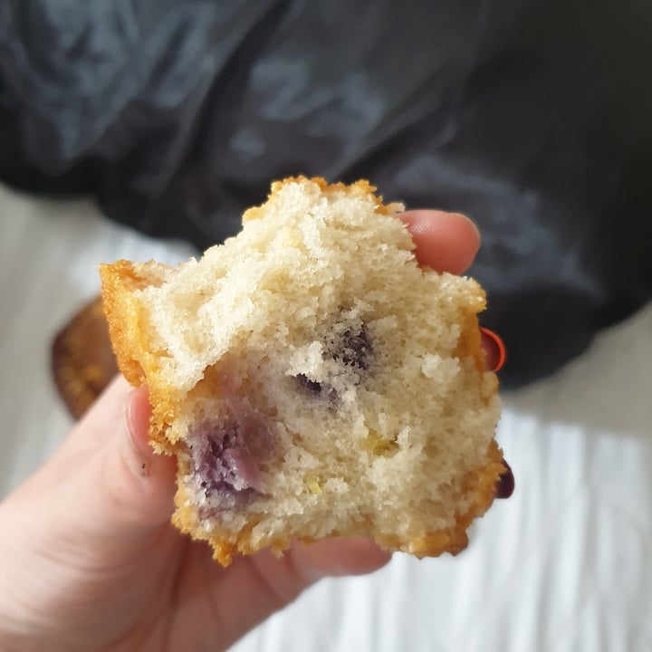 review photo of Woolworths Food Blueberry and lemon muffins shared by @veggiemichelle on 06 Oct 2021 - review