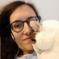 annaboodmann @annaboodmann profile image