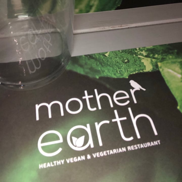 photo of Mother Earth - Healthy Vegan & Vegetarian Restaurant Vegan Gyros Plate shared by @allesio on  02 Aug 2021 - review