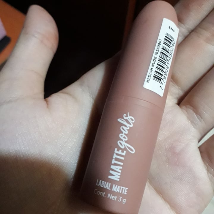 photo of Todomoda Beauty Labial matte shared by @martinaaaa on  19 Dec 2020 - review