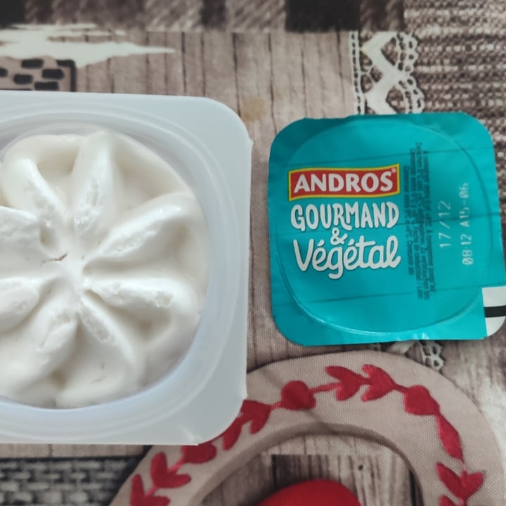 review photo of Andros Chocolat liégeois vegetal shared by @alejoea on 24 Nov 2022 - review