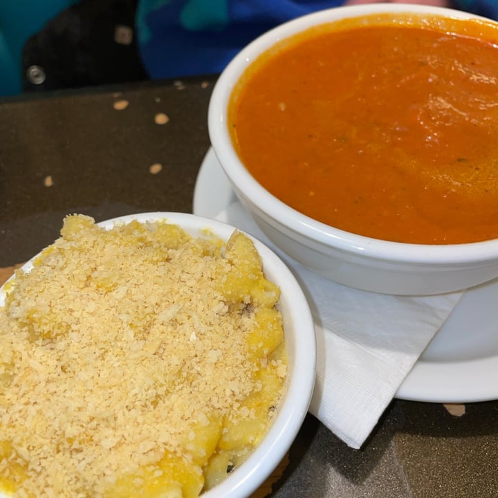 photo of Tasty Harmony Tomato basil soup shared by @risinghope on  27 Nov 2021 - review