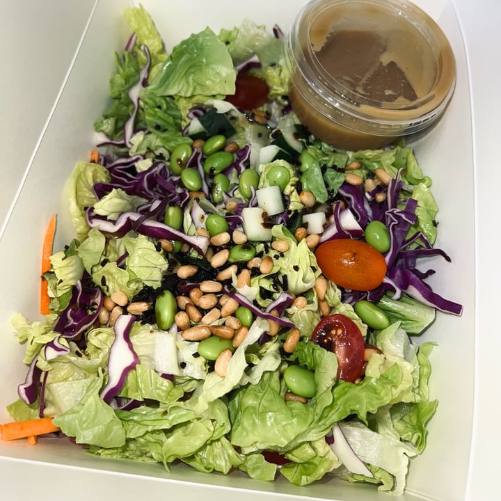 photo of Binary 10 Veg Chopped Salad shared by @joanthevegan on  11 Jul 2022 - review