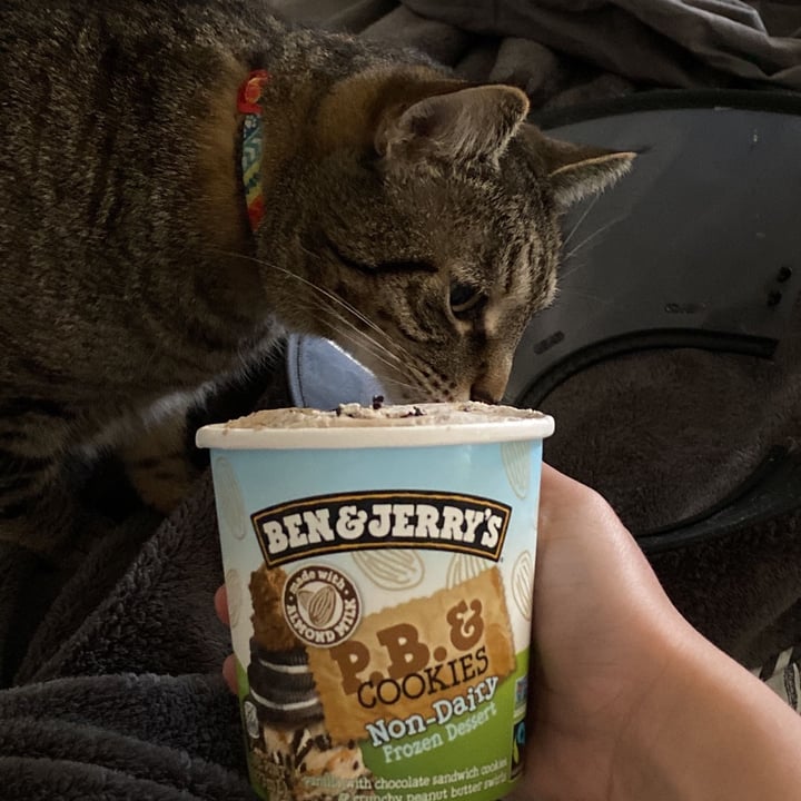photo of Ben & Jerry's Peanut Butter & Cookies Non-Dairy Frozen Dessert shared by @heyveggy on  29 Apr 2022 - review