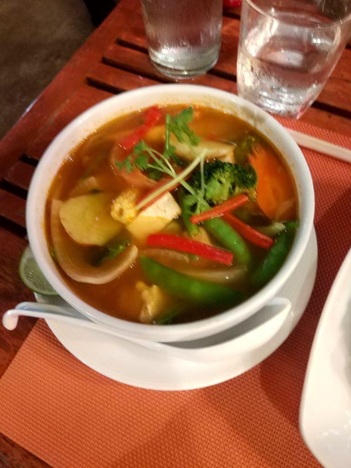 photo of Red Duck Restaurant Soup with tofu and veggies (spicy) shared by @sophel on  05 Mar 2020 - review