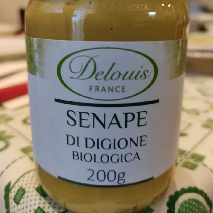 photo of Delouis France Senape di Digione Biologica shared by @giorgia73 on  10 Apr 2022 - review