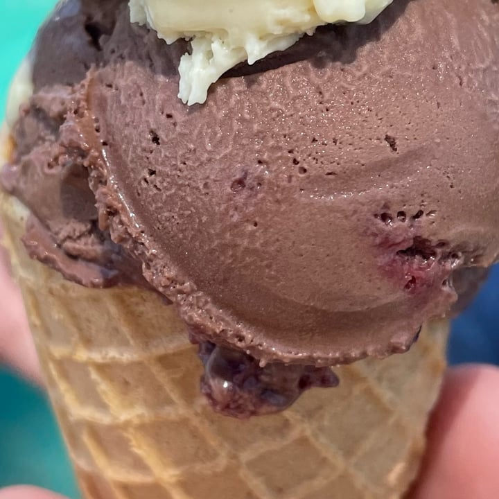 photo of ditto Black Forest Delight shared by @thehumblechickpea on  19 Nov 2021 - review