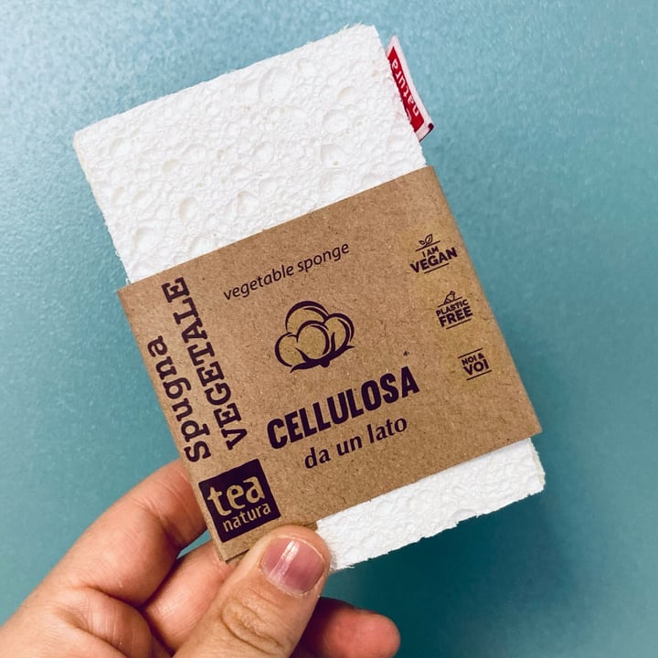 photo of Tea Natura spugna vegetale luffa e cellulosa shared by @sottolapellepodcast on  04 May 2022 - review