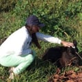 distarvegan @distarvegan profile image