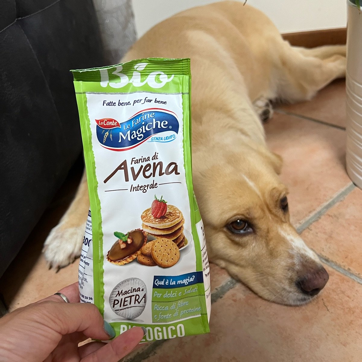 Farina Di Avena Senza Glutine Le Farine Magiche - 250 Gr, Ricca Di Proteine E Fibre, Per Pane, Pancake, Dolci