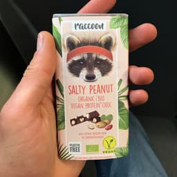 raccoon