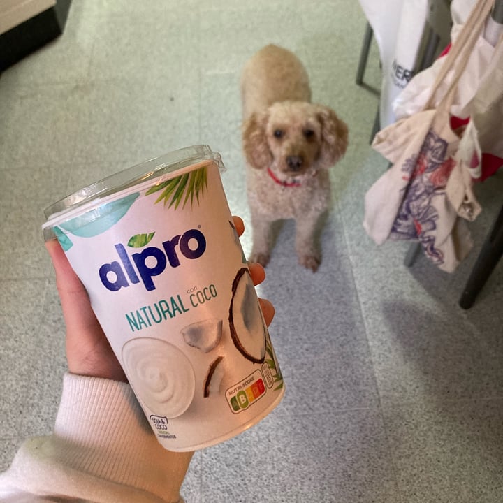 review photo of Alpro Natural Con Coco Yogurt shared by @rosaamp05 on 25 Nov 2021 - review