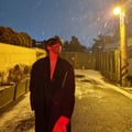 vantedelions @vantedelions profile image
