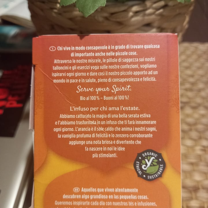 photo of Yogi Tea Organic Zenzero, Arancio e Vaniglia shared by @rifugioalmalibre on  12 Feb 2022 - review