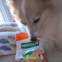 Mentolin