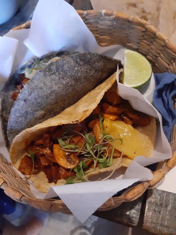photo of Forever Vegano Tacos al pastor shared by @barbaracf on  27 Jan 2020 - review