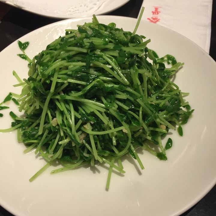 photo of Din Tai Fung Stir-Fried Dou Miao with Garlic shared by @lisab on  22 Apr 2019 - review