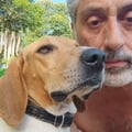 carlaolotfi @carlaolotfi profile image