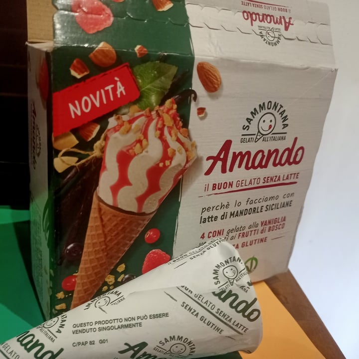 review photo of Sammontana 4 coni vaniglia variegato ai fruthi di bosco shared by @rrose on 01 Aug 2022 - review