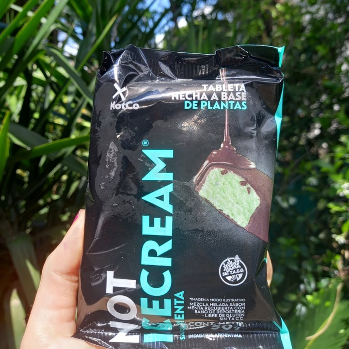 photo of NotCo Not Icecream Sabor Menta shared by @martiterraza on  23 Oct 2021 - review