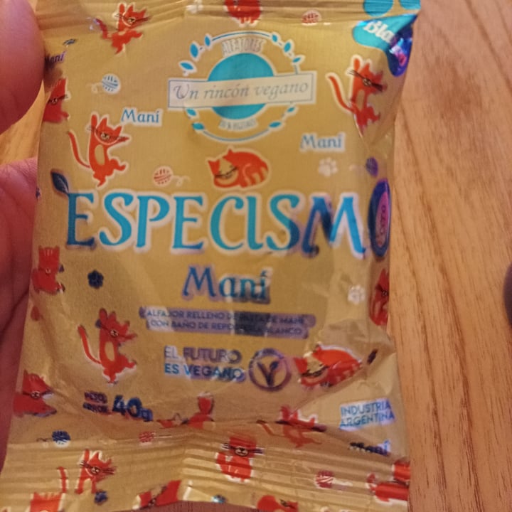 photo of Un Rincón Vegano Especismo Cero Alfajor Relleno De Mani Con Baño De Repostería Blanco shared by @anashadowcat on  02 Oct 2021 - review